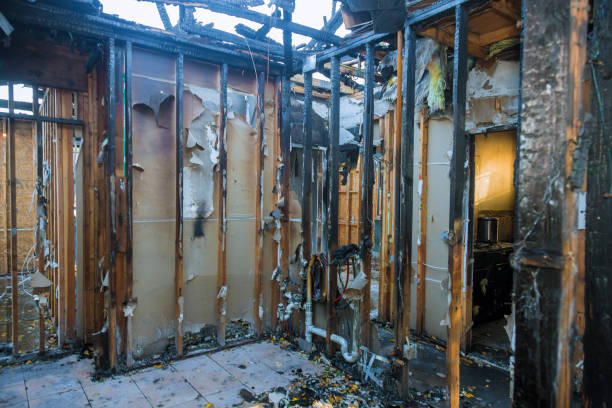 Professional Smoke Damage Removal technician working in Wenonah, NJ